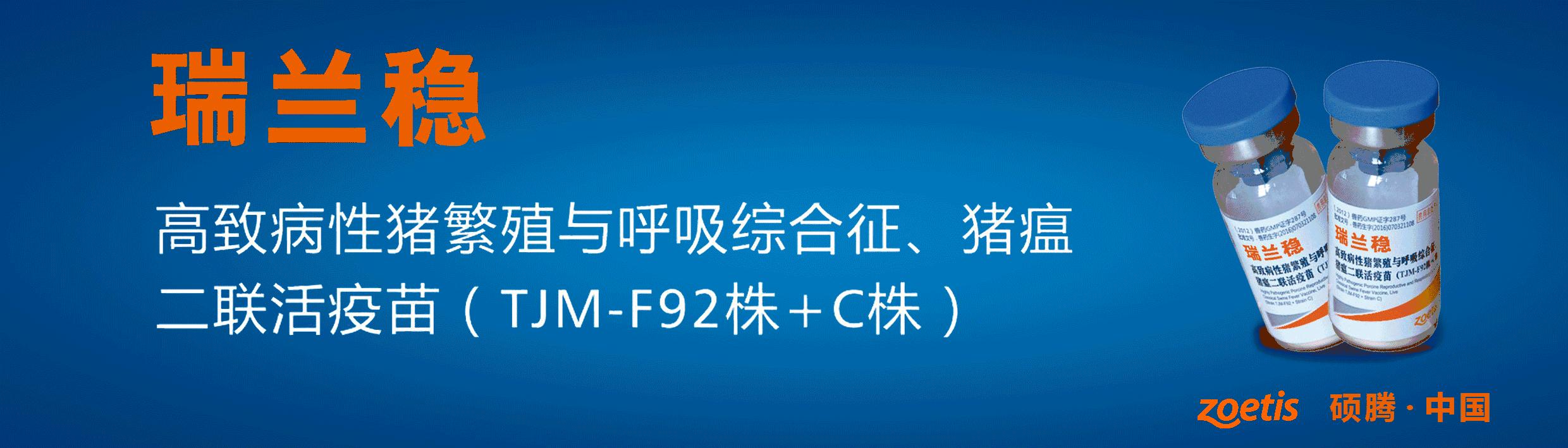 “瑞多康”+“瑞安欣”双剑合一:猪场扫除衣原体和弓形体的法宝
