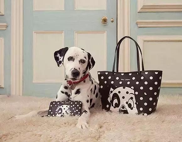 一周资讯早知道,miulady手袋怎么样