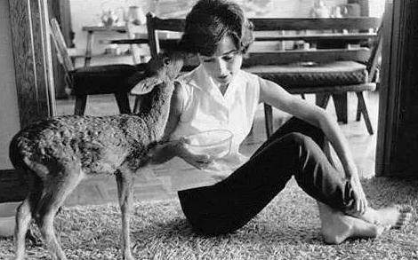 奢侈品的秘密丨揭秘纪梵希小鹿包与奥黛丽·赫本的传奇经历~