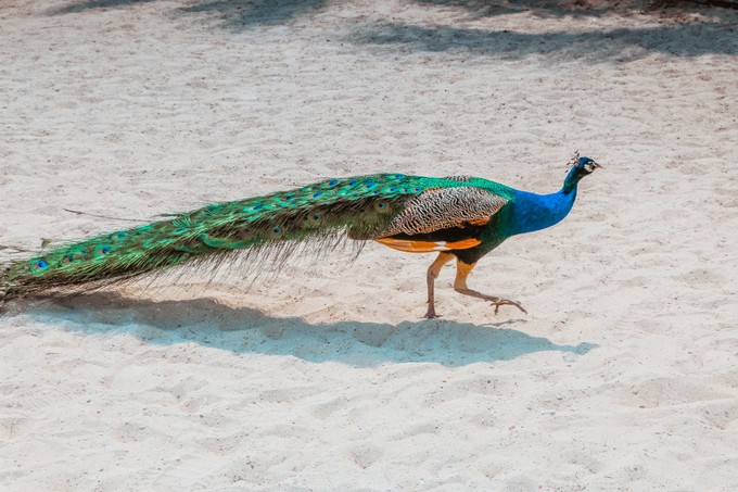 北纬18度三亚你不愿意错过的风景