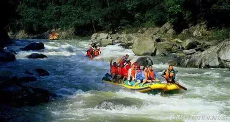 广东普罗旺斯花海,普罗旺斯的薰衣草紫色花海