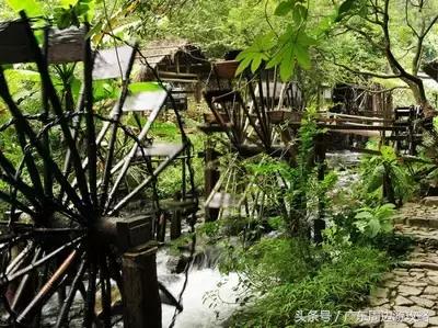 广东普罗旺斯花海,普罗旺斯的薰衣草紫色花海