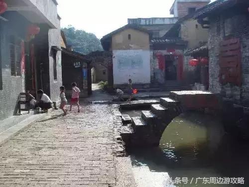 广东普罗旺斯花海,普罗旺斯的薰衣草紫色花海