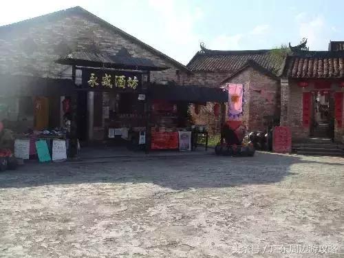 广东普罗旺斯花海,普罗旺斯的薰衣草紫色花海