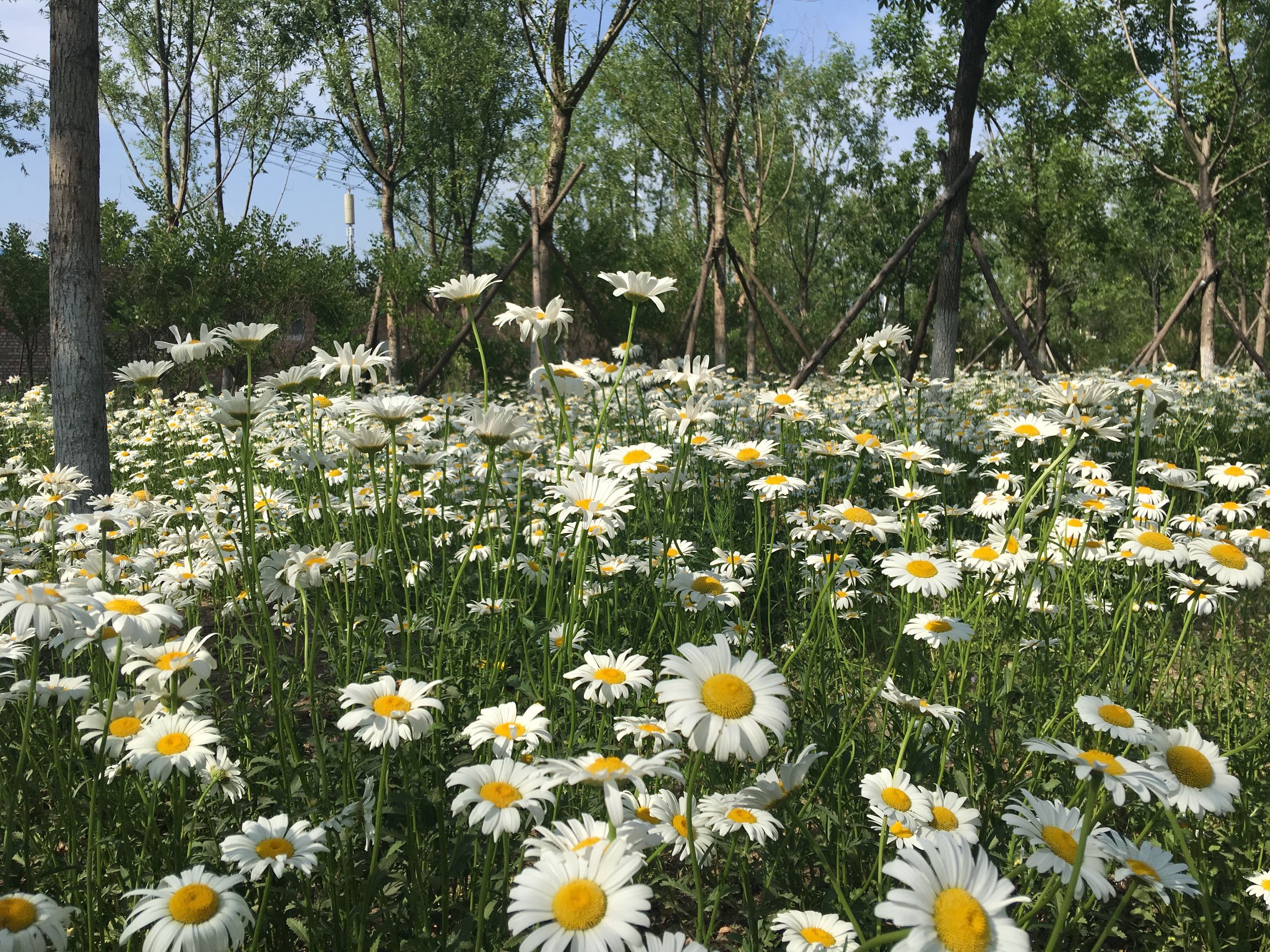 上庄水库常乐村,上庄水库好去处
