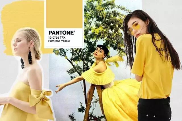 樱草黄色明亮显白又高级,樱草黄如何配色