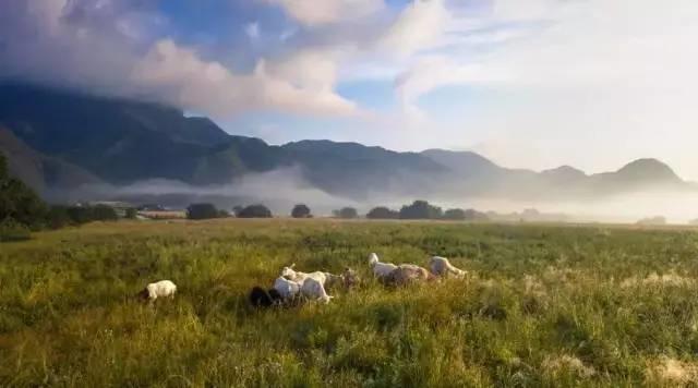 世界那么大，偏独爱神农架