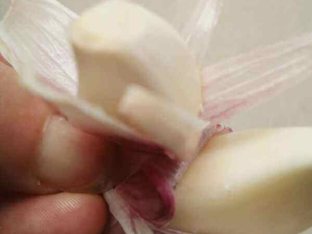 腌甜蒜用味极鲜吗,酸甜爽脆一口下去嘎嘣脆的腌糖蒜