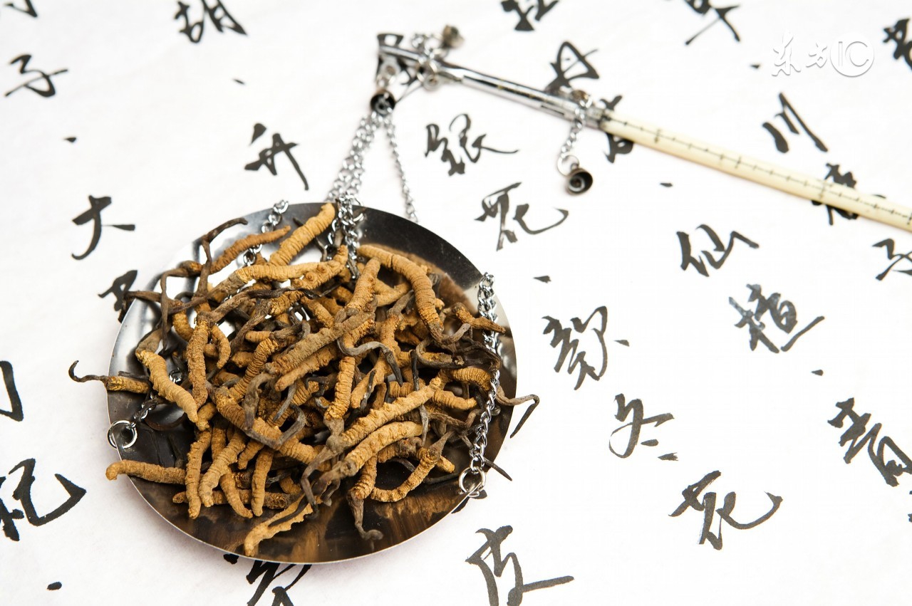 冬虫夏草的真实历程,冬虫夏草深度解析