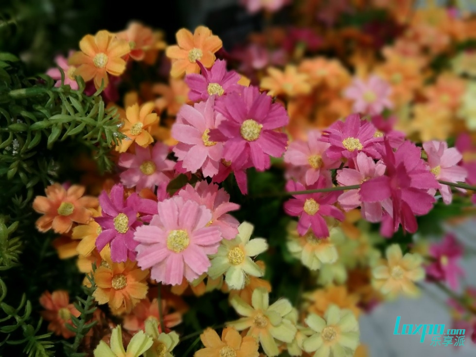 努比亚z17mini闪屏,努比亚z17mini旗舰图片