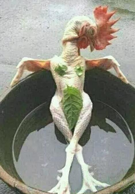 超搞笑个性签名大全2015最新版的,笑死人不偿命的个性签名