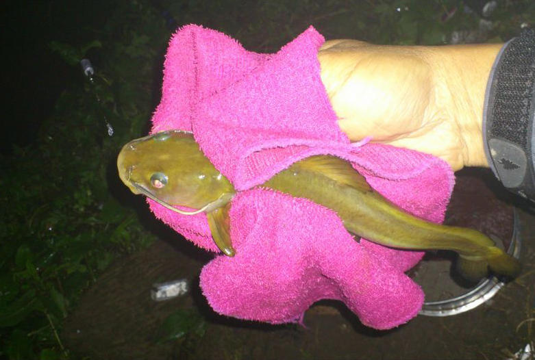 夜钓诡异事件:从五官感受,到心理暗示,是如何把自己吓跑的?