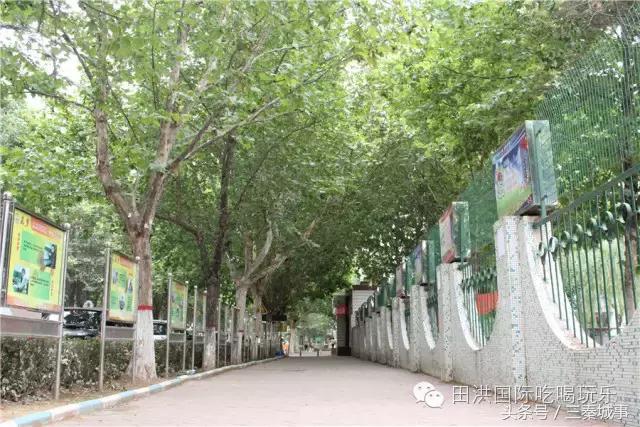 西安最好看灞桥风景,西安灞桥美丽的风景线