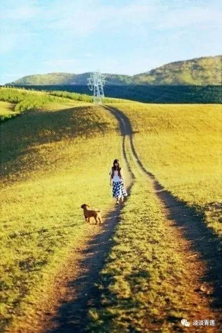 狼毒花有什么毒,狼毒花是花还是毒药