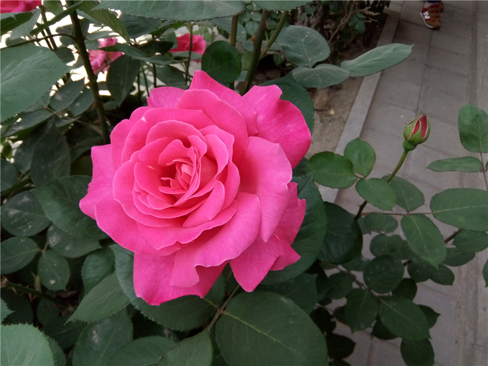 不一样的视角让你享受感官盛宴-ivviK5裸眼3D手机体验