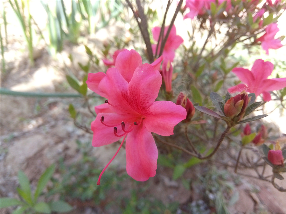 不一样的视角让你享受感官盛宴-ivviK5裸眼3D手机体验