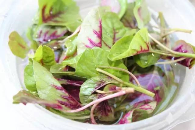 我们常吃的菜有哪些,现在我们做饭都是三鲜馅儿怎么办