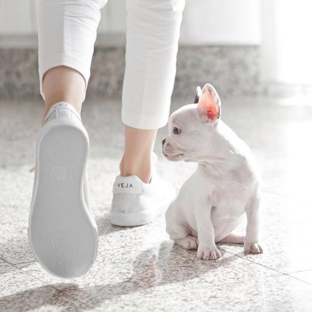 史上最全球鞋合集｜要舒服要好看还不想撞鞋的看这里