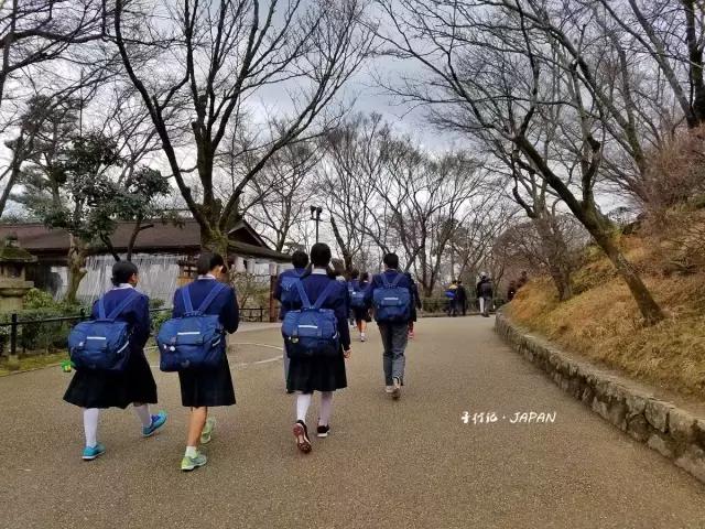 关西京都一日游攻略,日本关西旅行记录京都篇