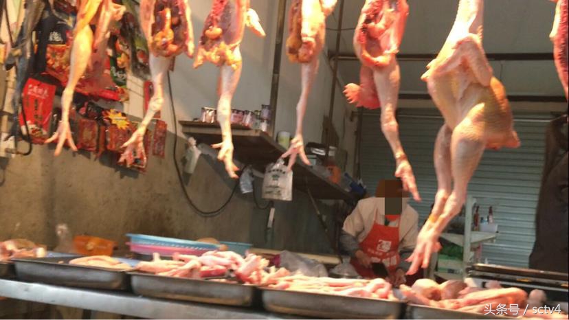 成都拟绕城内禁宰活禽成都市场情况如何？