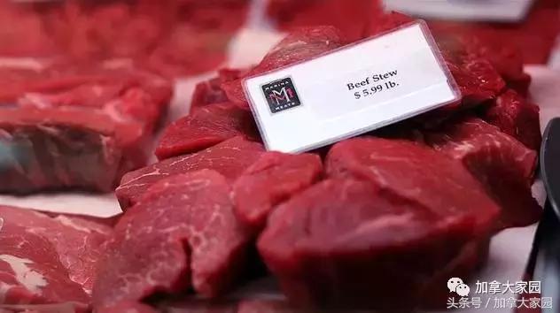 加拿大黑名单,黑名单加拿大