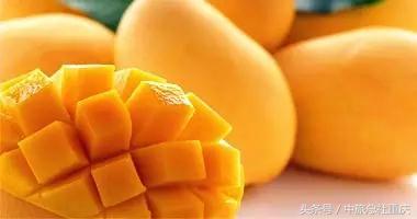 宿务旅游跟团七日游,宿务旅行攻略