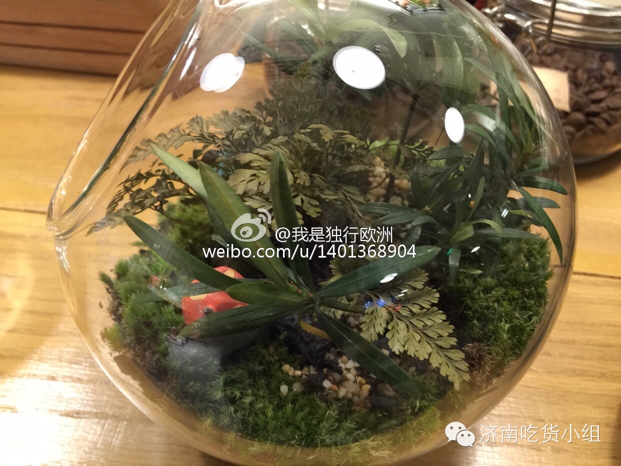 在济南，我想和你“一起”喝咖啡O,∩_∩O~~