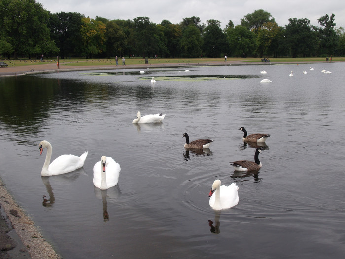 伦敦南部一日游,英国伦敦自由行6日