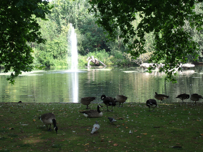 伦敦南部一日游,英国伦敦自由行6日