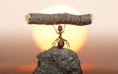 广东人到底有多好,外国人对广东的印象