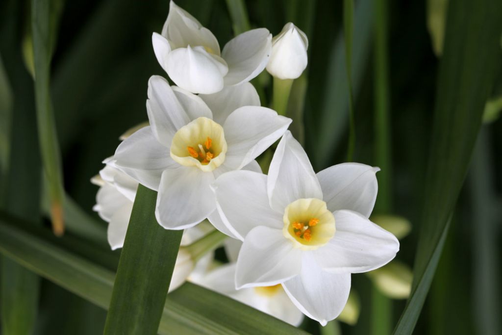 课外知识大扩展之——中国市花大全！