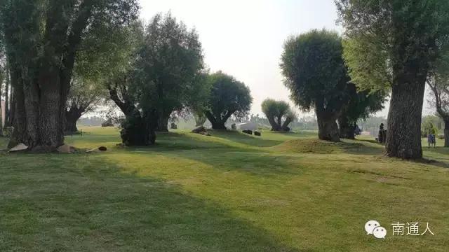 南通人可以免费的景点,南通人都去哪里玩