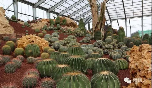 南通人可以免费的景点,南通人都去哪里玩