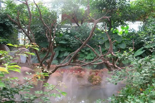 南通人可以免费的景点,南通人都去哪里玩