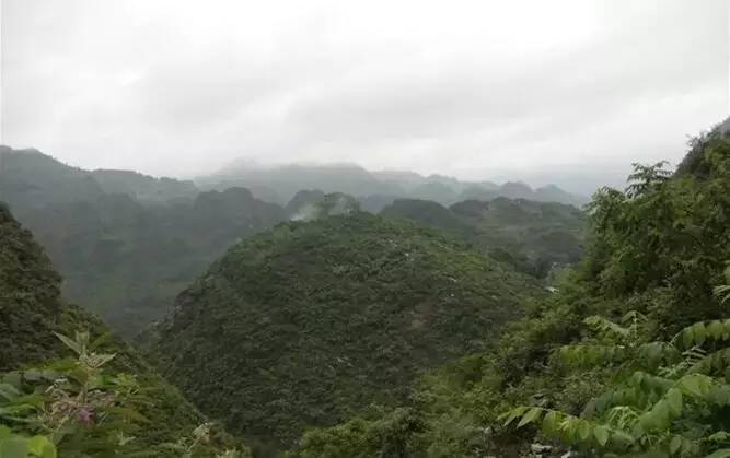 和田玉贵州罗甸玉,和田玉遇到的奇葩问题