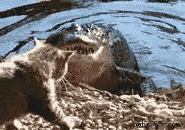 没其他想说的,今天周末,大家耍开心就好!