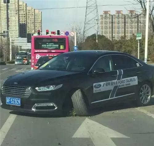 大王叫我来巡山,抓只“金牛”炖锅汤