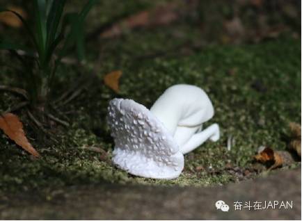 痛经假有明文规定,痛经假哪些省份执行