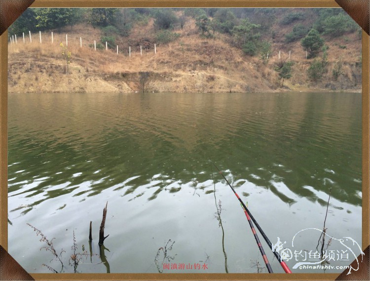 冷雨咬钩,冷雨钓鱼钓多深