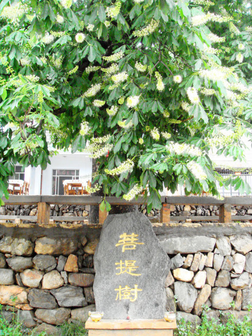 游泳湿气寒气怎么祛除,祛除体内寒气湿气的药