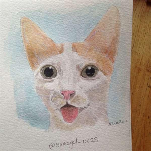 被撞的浪猫下巴严重的脱臼歪斜，想不到却意外成了它的特色招牌！