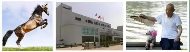 看图猜地名谁是卧底,看图猜地名镇雄