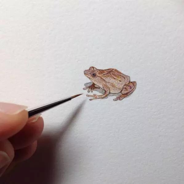 拇指插画,艺术个人插画