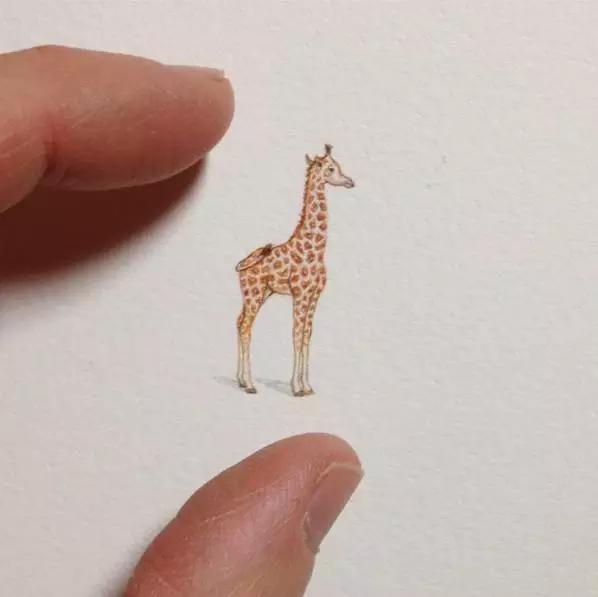 拇指插画,艺术个人插画