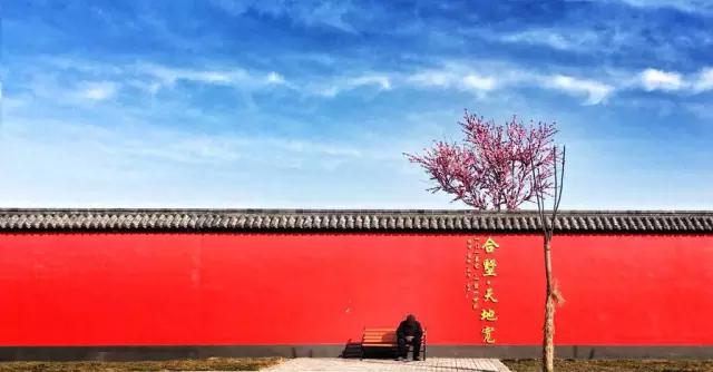 cmpa是什么,cmpa手机摄影欣赏