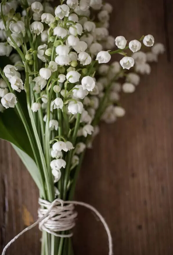 每日一花花语,周大福铃兰花开幸福归来