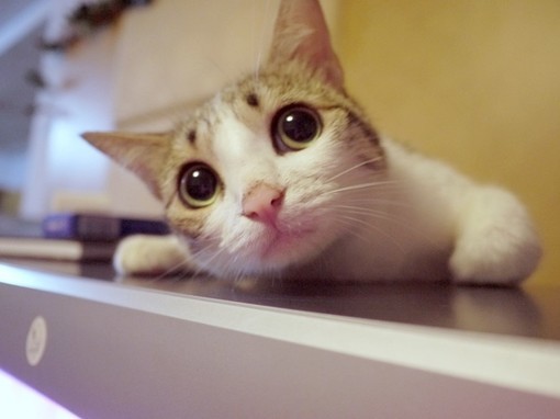 你认为理财产品有哪些特点,你对理财产品有哪些了解