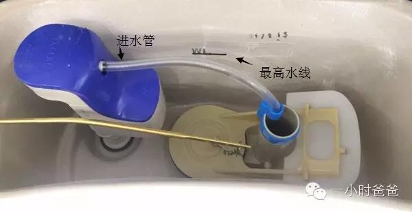 洁厕块会回流吗,洁厕块冲过的水能浇菜吗