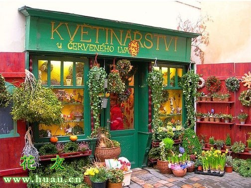 要开花店需要掌握哪些知识,开花店需要什么手续和费用