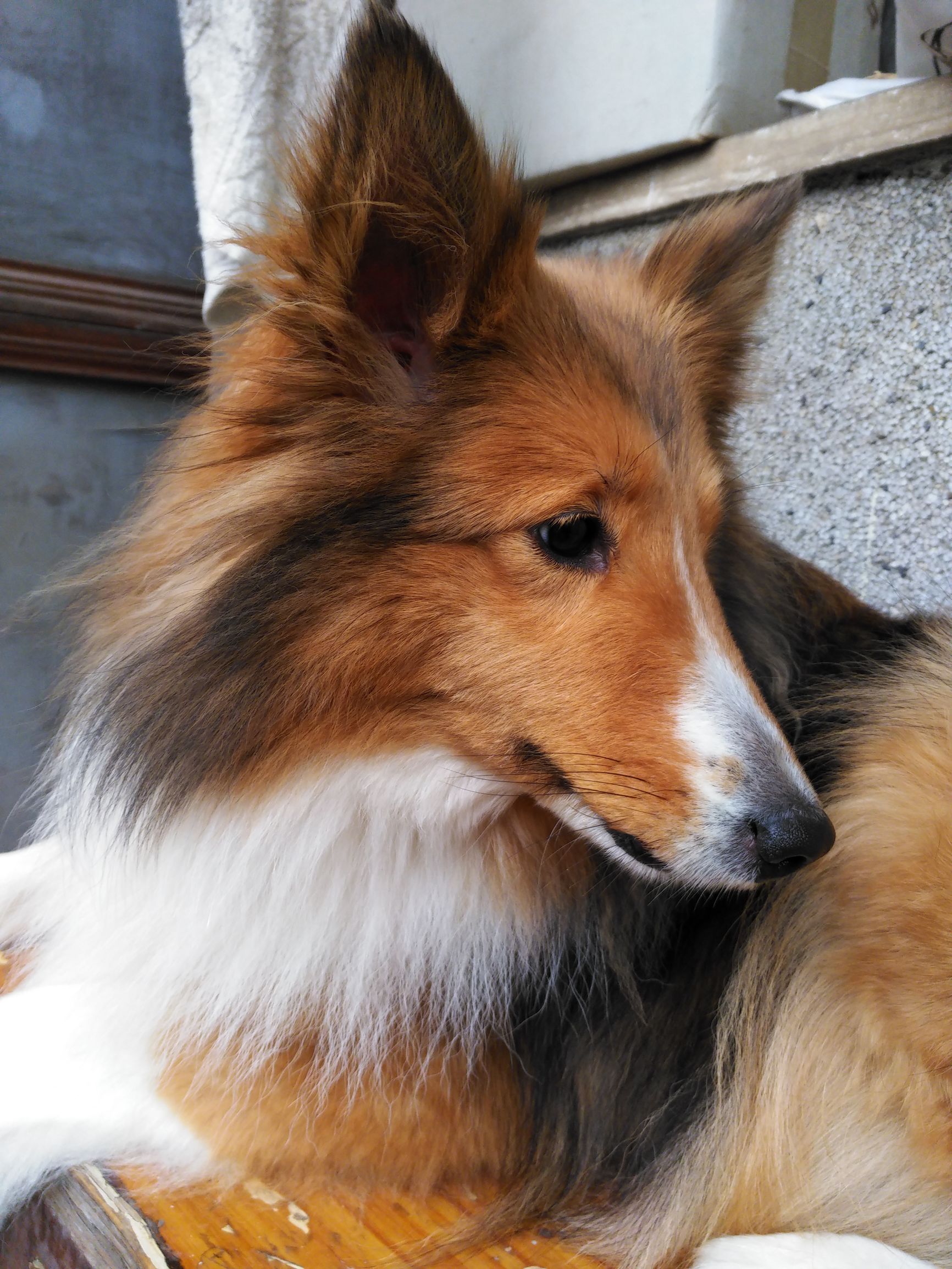 锤子t2现在还值得买吗,锤子手机t2游戏测评